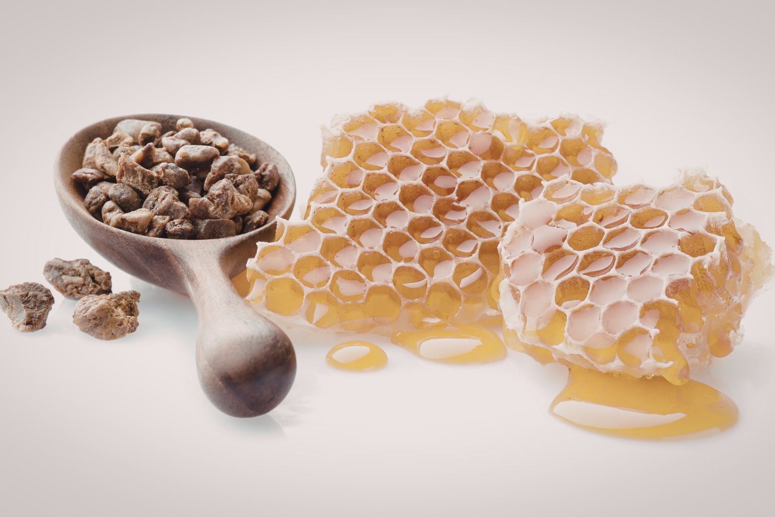 Що лікує настоянка прополісу